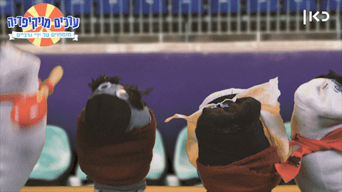 socks GIF by Garbaim