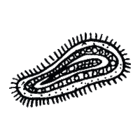 Ciencia Matilda Sticker