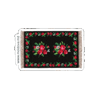 Md Carpet Sticker by Invest Moldova