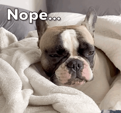 Tired Dog GIF