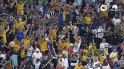 World Cup Win GIF by Football Australia