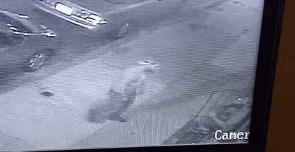 GIF by Mashable
