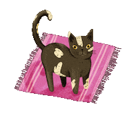 mehrisena happy cat kitty lovely Sticker