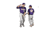 Baseball Ppp Sticker by Albion College