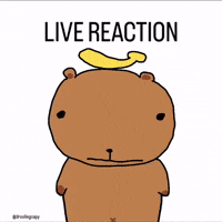 Capybara Wow GIF
