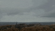 Love Story Romance GIF by TIFF