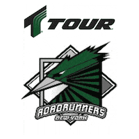 New York Roller Sticker by TOUR Hockey