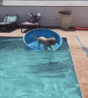 GIF by Mashable