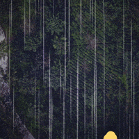 MylesHi dragon ball dragon ball z dragon ball super myles hi GIF