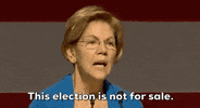 Elizabeth Warren GIF by Election 2020