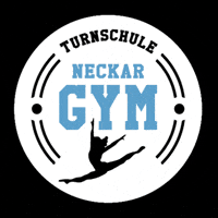 GIF by Turnschule NeckarGym Nürtingen