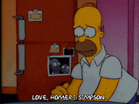 Season 1 Episode 3 GIF by The Simpsons