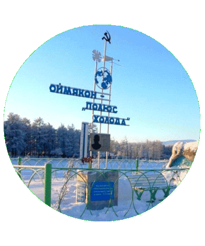Визитроссия Sticker by kchr