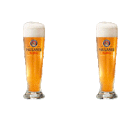 Beer Cheers Sticker by Paulaner