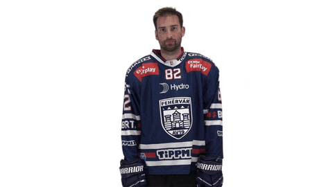 Celebration Goal GIF by Fehervar AV19