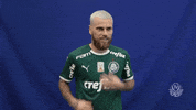 happy lucas lima GIF by SE Palmeiras