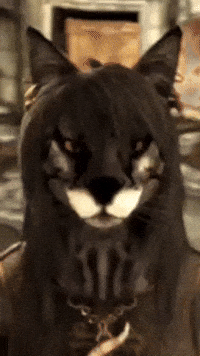 Dance Zoom In GIF