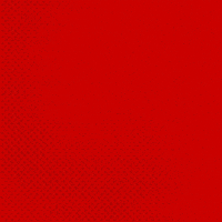 Bayer 04 Bundesliga GIF by Bayer 04 Leverkusen