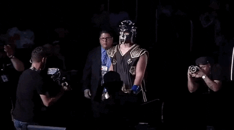 toprank giphyupload fight boxing fighting GIF