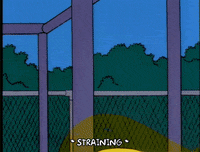 homer simpson GIF