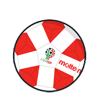 MoltenMex  Sticker