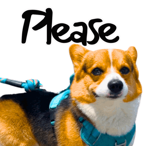 Corgi Please Sticker