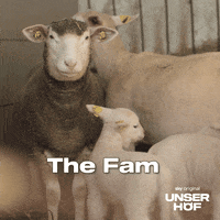 Suss Wow GIF by Sky Deutschland