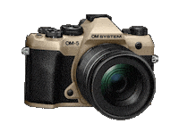 Camera Olympus Sticker by OM SYSTEM