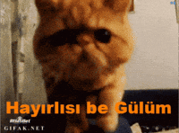 Komik GIF by ATLAS