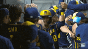 Hi Five Sport GIF by Milwaukee Brewers