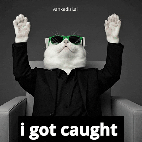 Black And White Cat GIF by vankedisi