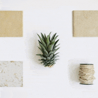 GIF by Coolhuntermx