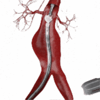 GIF by Neomex