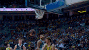 excited let's go GIF by EuroLeague