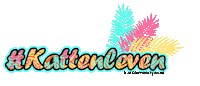 Cat Kat Sticker by Kattenveertjes