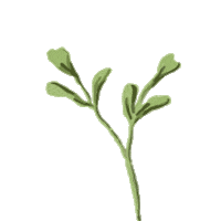 Plant Grow Sticker