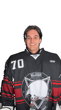 Hockey Toulouse Sticker by Bélougas