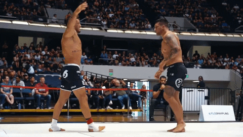 Bjj GIF by flograppling