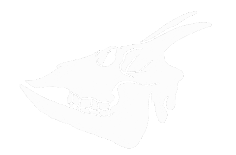 Mallorca Calavera Sticker