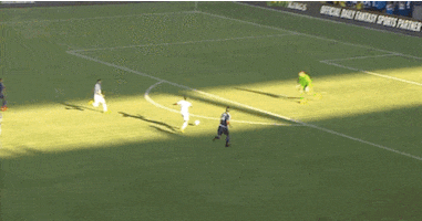 robbie keane goal GIF by LA Galaxy