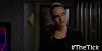 season 1 episode 10 GIF by The Tick