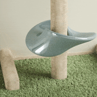 gambadeclub fun animation loop 3d GIF