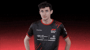 sauberesports shocked surprised sauber f1esports GIF