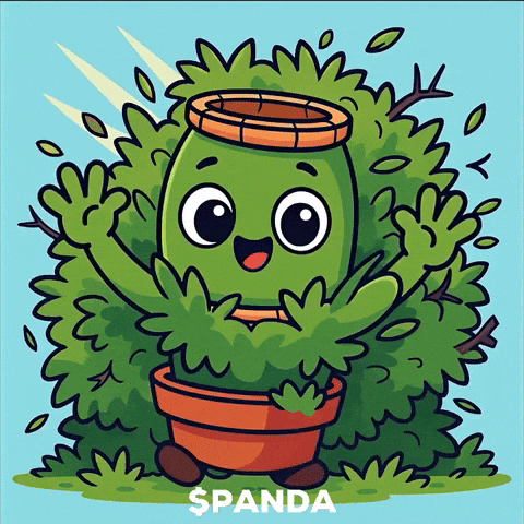 Surprise Hello GIF by PandaMania