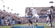 Regular Season Football GIF by NFL