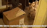 unsereoebb cat katze oebb weltkatzentag GIF
