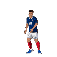 France Football Sticker by Panini America