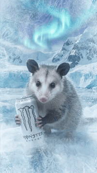 Daisythepossum GIF