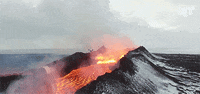 eric cheng camera GIF by NowThis 