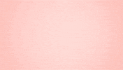 Hungry Dragon Ball GIF by BANDAI NAMCO Entertainment